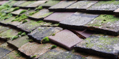 Great Baddow roof repair costs